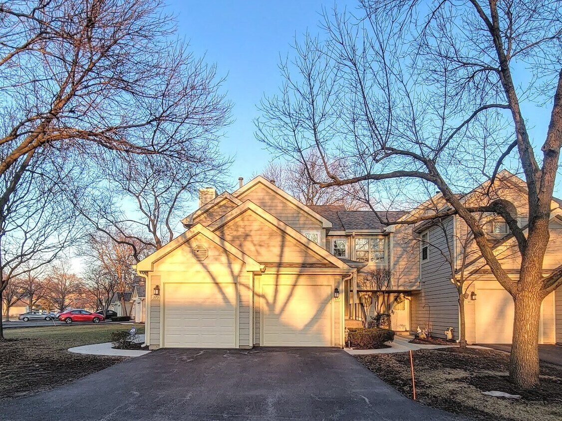 373 W Hamilton Dr, Palatine, IL 60067 Condo for Rent in Palatine, IL
