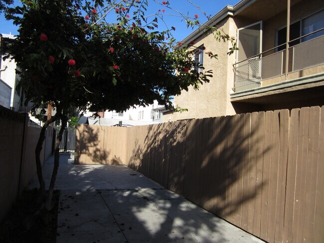Foto del edificio - 437 Walnut Ave