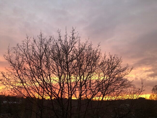 Foto del edificio - 318 Tappan St