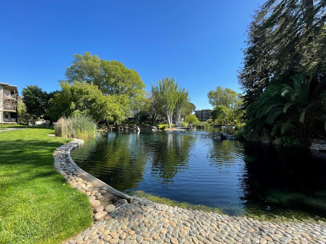 928 Peninsula Ave Unit 404, San Mateo, CA 94401 Condo for Rent in San