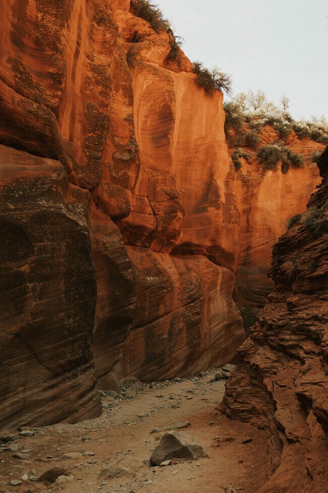 Foto del edificio - 523 W Vance Dr