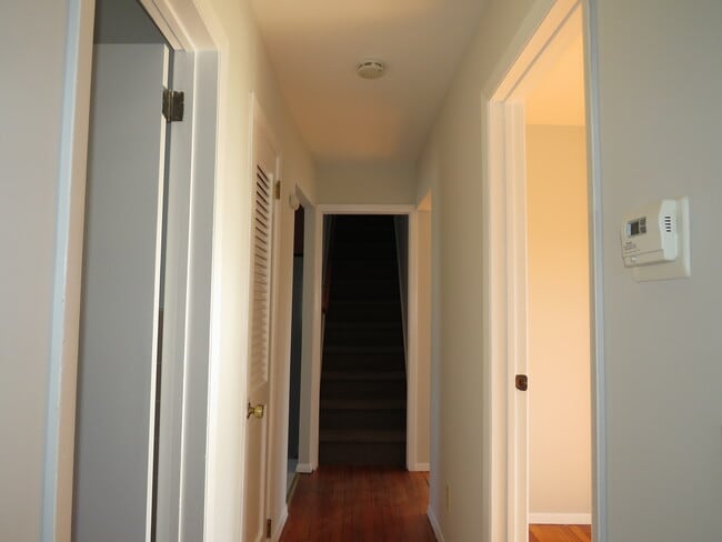 Main Hallway - 11 Louis St