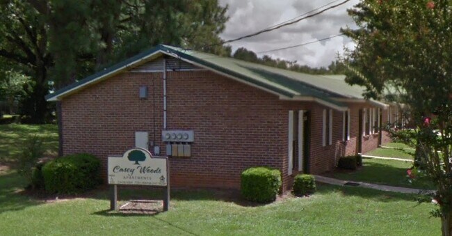 Foto del edificio - 307 Casey Woods Ct