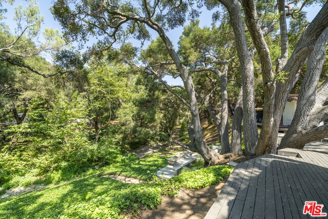 Building Photo - 539 Live Oak Cir Dr