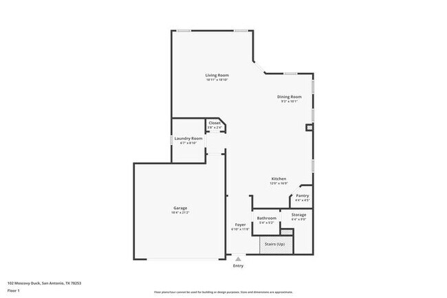 Building Photo - 102 Moscovy Duck
