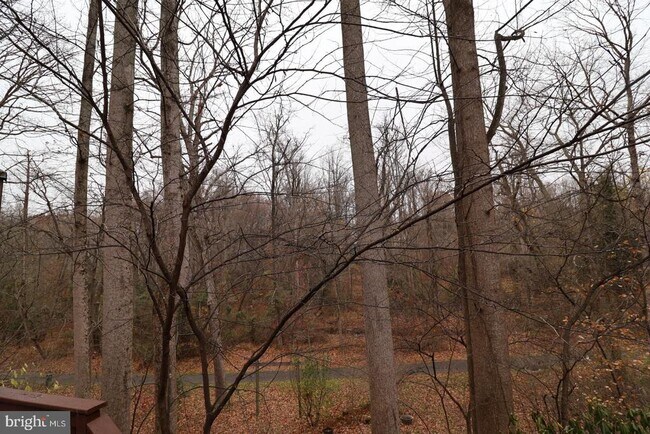 Foto del edificio - 11312 Myrtle Ln