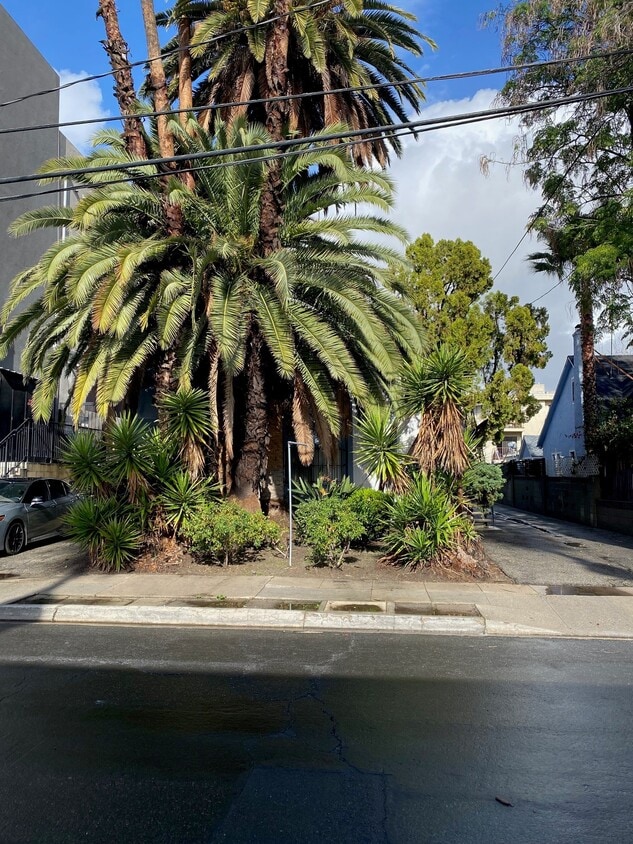 Primary Photo - 11275 Huston St