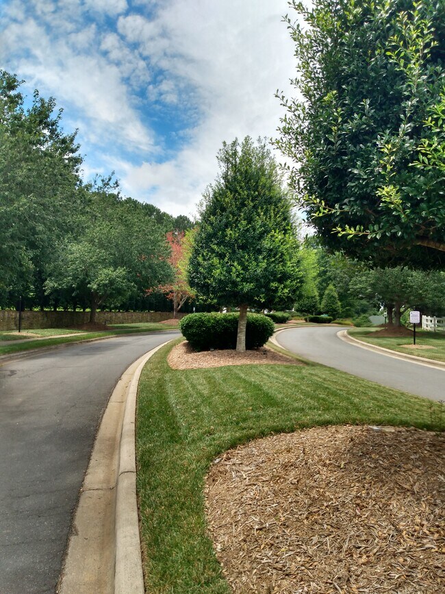 Building Photo - 2036 Mountain Park Dr