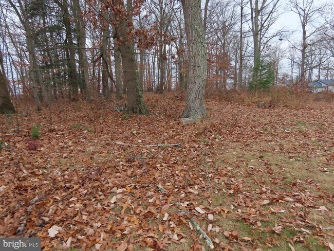 Foto del edificio - 563 Principio Rd