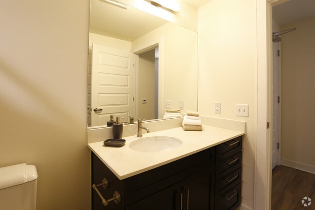 Studio - Turquoise - Coda