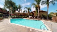 This inviting outdoor community area is designed for relaxation and leisure, centered around a generously sized swimming pool with clear, blue water and a classic geometric shape. The pool deck is finished in light-toned concrete and is lined with lounge chairs, providing ample space for sunbathing. A black wrought-iron fence encloses the pool area, offering both security and a clean visual boundary.

Adjacent to the pool, a covered patio area provides a shaded retreat, furnished with metal outdoor dining tables and chairs — ideal for gathering out of direct sun. The patio's pergola-style roof and structural posts frame views of the surrounding landscape, which features a rich mix of tall, mature palm trees and low-maintenance desert-style plantings, lending the space a distinct Southern California character.

Red patio umbrellas are stationed along the periphery, adding a pop of color while offering additional shade options. The broader complex is composed of multi-story residential buildings with warm brown and red-toned wood-panel exteriors and private balconies, visible throughout the grounds. The overall ambiance is that of a well-maintained, resort-inspired outdoor environment, bathed in abundant natural sunlight under open skies.