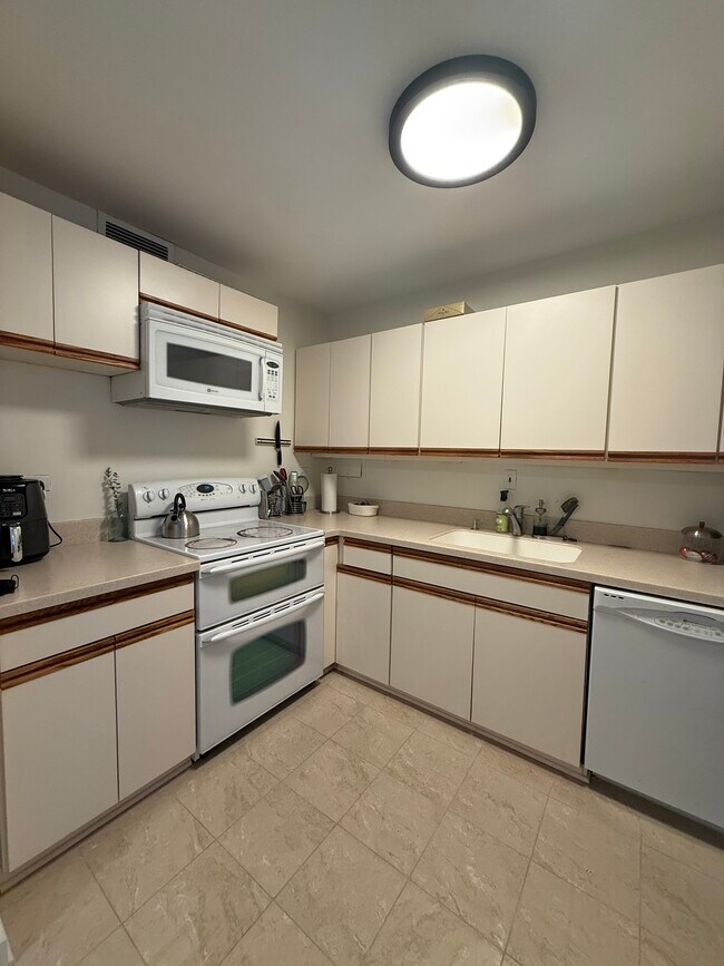 Foto del edificio - 900 N Lake Shore Dr