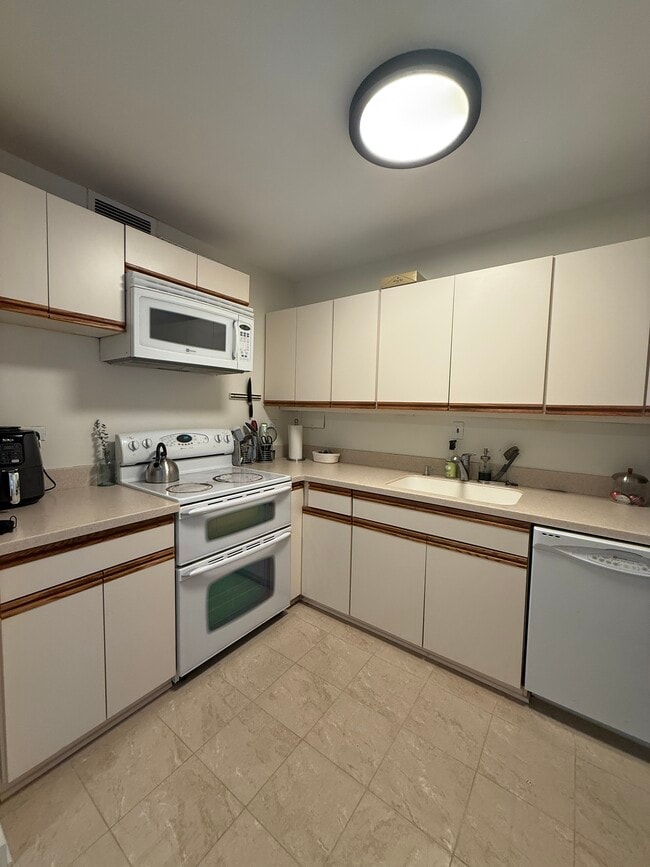 Building Photo - 900 N Lake Shore Dr