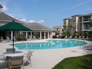Primary Photo - 1 Bedroom 1 Bath Condo at Madison at Park ...