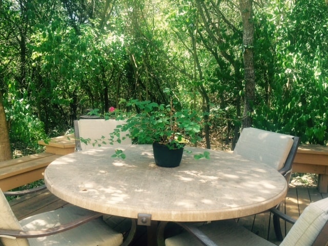 Terraza privada abajo - 9810 Lake Ridge Dr