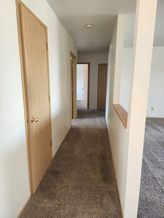 Hall to bdrms and laundry closet - 3603 Michelle Ln