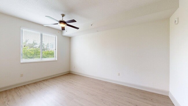 Interior Photo - Griffis North Olive