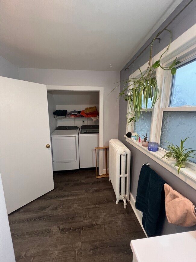 Foto del edificio - 17 Idlewild Park