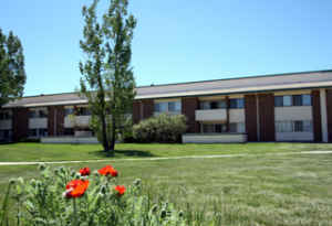 Primary Photo - Will5110