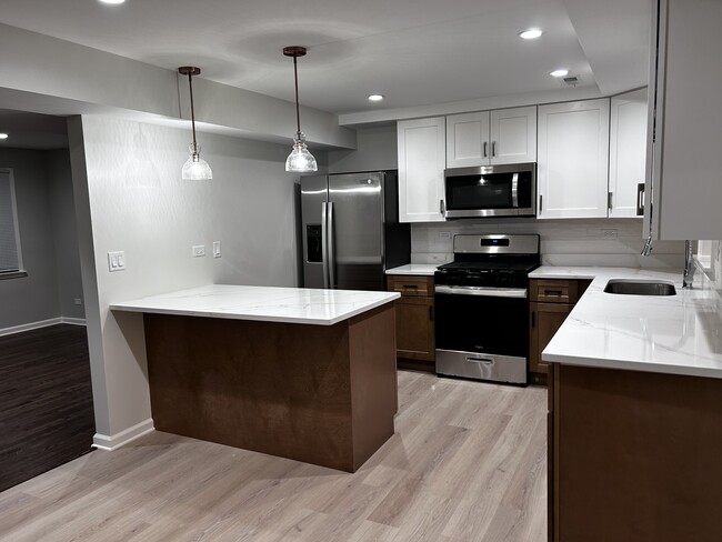 brand new kitchen - 7356 N Harlem Ave