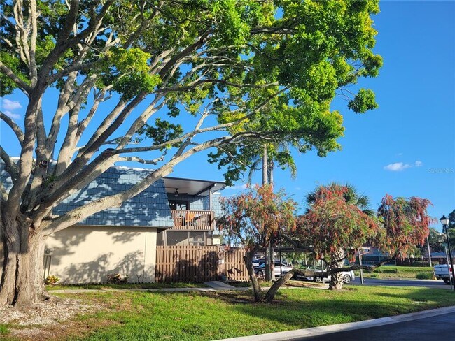 Foto del edificio - 14521 Catalina Cir