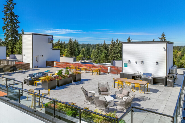 Rooftop Deck - Zinnia