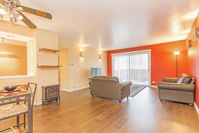 Large Spacious Living Room with lots of light - 1802 Plum Grove Rd