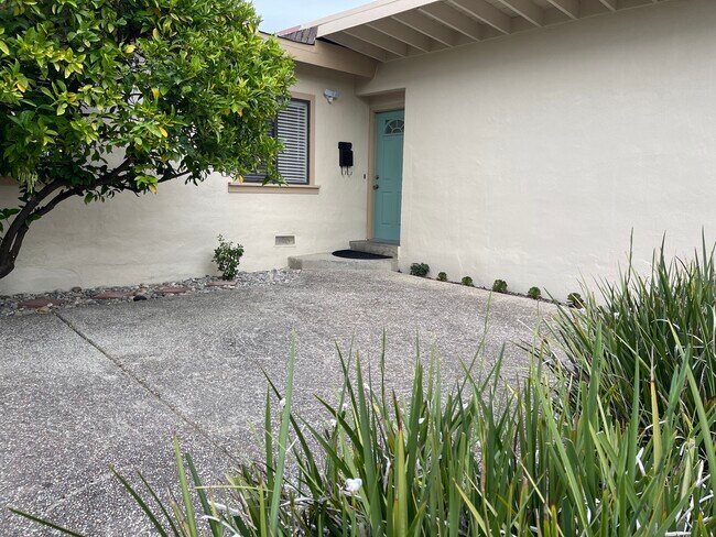 Front door - 932 Alba Ct