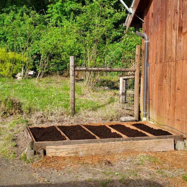 Foto del edificio - Lovely cabin on shared rural property.