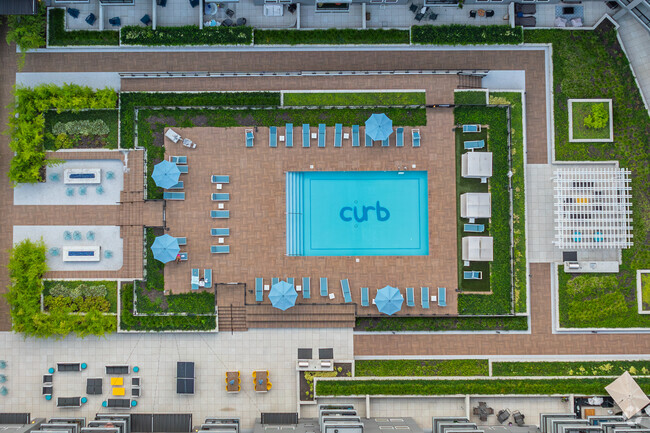 The Curb - Pool - The Curb