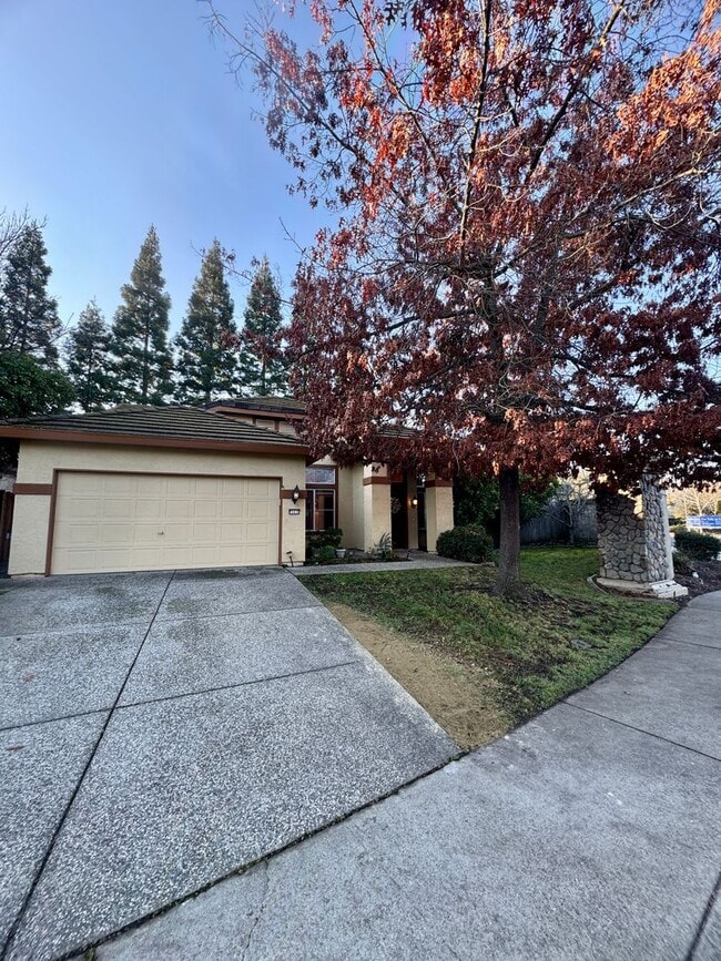 Building Photo - 351 Seaton Dr