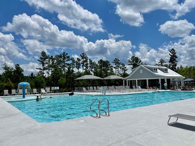 Bradford Pointe enjoys some resort-like amenities like this huge community pool. There's a great vid - 413 Ambrose Dr
