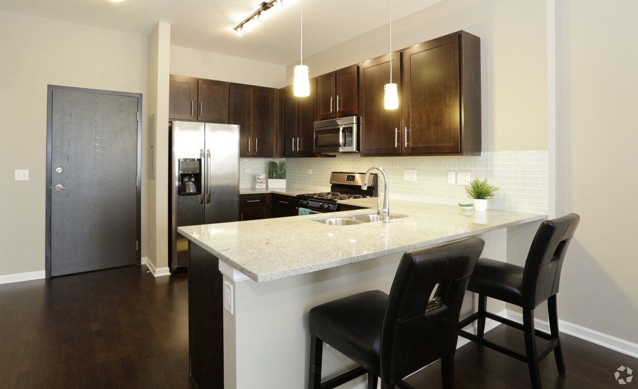 The Shelby Rentals in Chicago at 2300 S Michigan Ave Chicago, IL