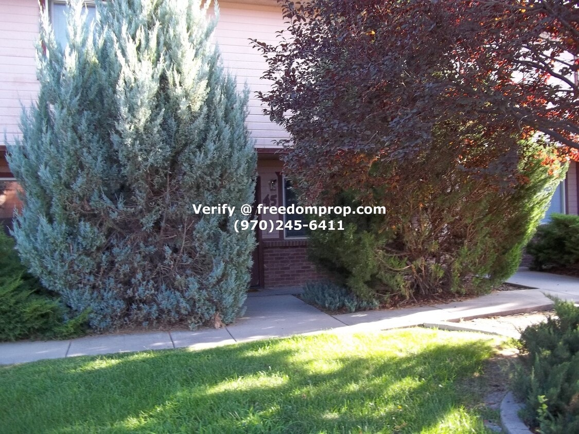 Primary Photo - Near CMU 2 Bedroom 1.5 Bath Townhouse