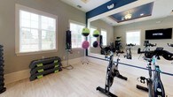 This single-floor fitness studio is thoughtfully designed to support a variety of workout styles. The space is finished with light hardwood-style flooring throughout, providing a clean and durable surface suited for both cardio and floor exercises. Neutral sage-green walls are complemented by bold navy blue accent walls, creating a dynamic yet cohesive aesthetic.

A standout architectural feature is the tray ceiling with recessed lighting and a deep navy inset, adding visual depth and a polished, upscale feel to the room. Multiple windows dressed with white blinds allow ample natural light to fill the space.

A large wall-mounted mirror spans one side of the room, visually expanding the area and making it practical for form-checking during workouts. The studio is equipped with a row of stationary cycling bikes positioned in front of the mirror, a wall-mounted flat-screen TV, a dumbbell rack with a full weight range, a medicine ball stand, step platforms, and resistance accessories. A decorative botanical wall panel adds a distinctive design touch near the entrance. The overall ambiance is bright, motivating, and professionally curated for an effective fitness experience.