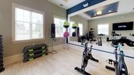This single-floor fitness studio is thoughtfully designed to support a variety of workout styles. The space is finished with light hardwood-style flooring throughout, providing a clean and durable surface suited for both cardio and floor exercises. Neutral sage-green walls are complemented by bold navy blue accent walls, creating a dynamic yet cohesive aesthetic.

A standout architectural feature is the tray ceiling with recessed lighting and a deep navy inset, adding visual depth and a polished, upscale feel to the room. Multiple windows dressed with white blinds allow ample natural light to fill the space.

A large wall-mounted mirror spans one side of the room, visually expanding the area and making it practical for form-checking during workouts. The studio is equipped with a row of stationary cycling bikes positioned in front of the mirror, a wall-mounted flat-screen TV, a dumbbell rack with a full weight range, a medicine ball stand, step platforms, and resistance accessories. A decorative botanical wall panel adds a distinctive design touch near the entrance. The overall ambiance is bright, motivating, and professionally curated for an effective fitness experience.