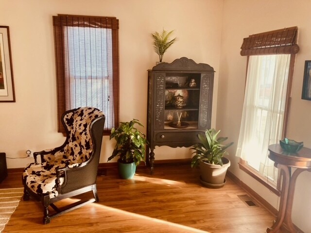 sunny and cozy - 916 W 4th St
