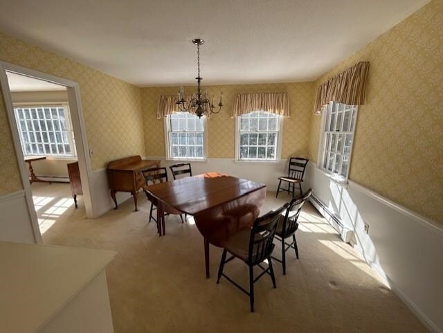 Foto del edificio - 49 Balsam Acres