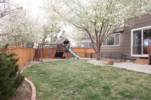 Spacious backyard - 1204 Riddlewood Ln