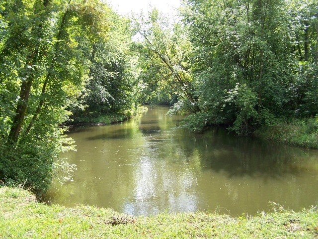  - 9516 Dwight Rd