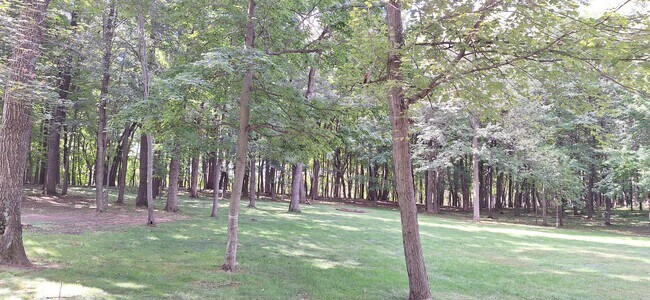 Wooded Back Yard - 5930 Cranberry Dr