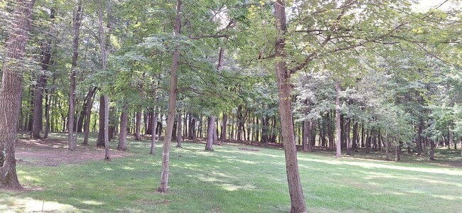 Wooded Back Yard - 5930 Cranberry Dr