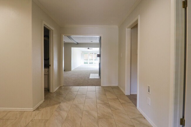 Foto del edificio - Incredible Ranch Style Home in Midtown!