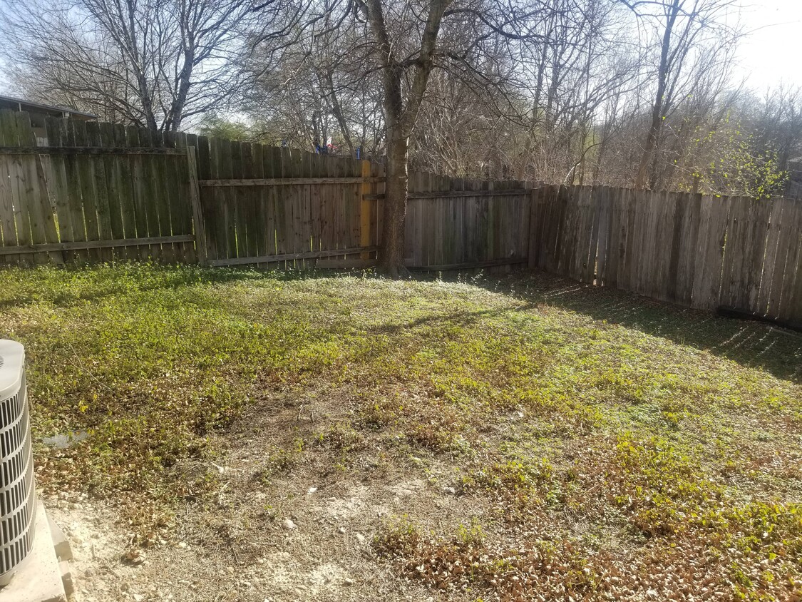 Back yard, natural area behind lot. - 14521 Clovelly Wood