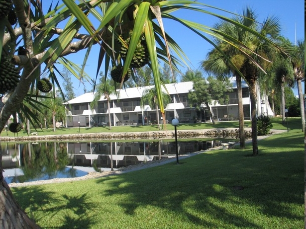 Building Photo - Coral Woods Apartments