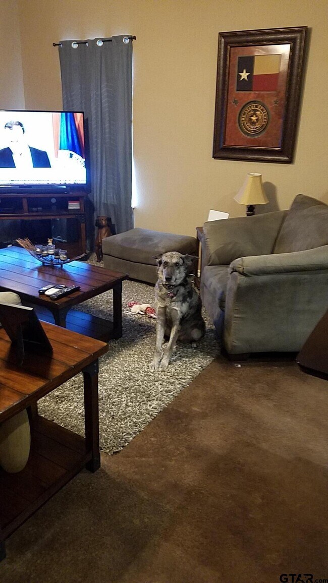 Foto del edificio - 501 FM 315