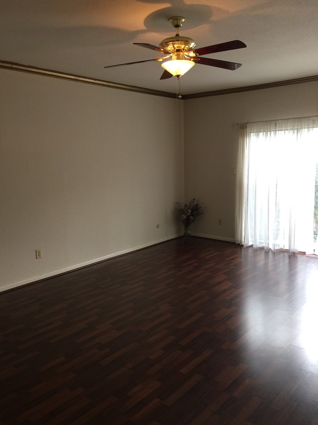 Living room - 2400 N Braeswood Blvd