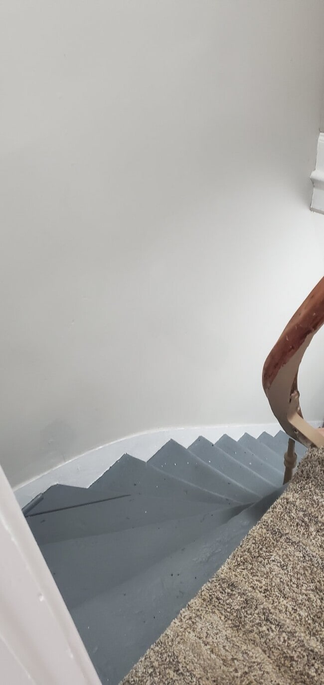 Building Photo - 527 Tedesco St