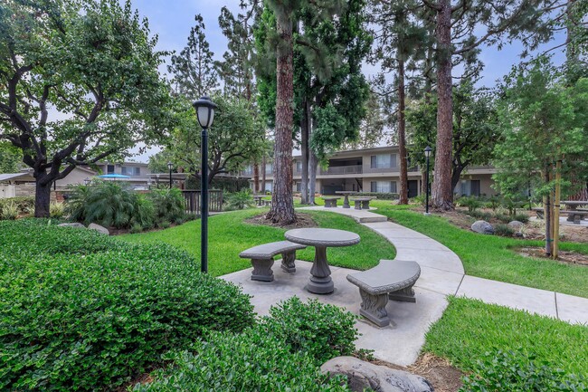 Saddleback Pines Apartment Homes photo'