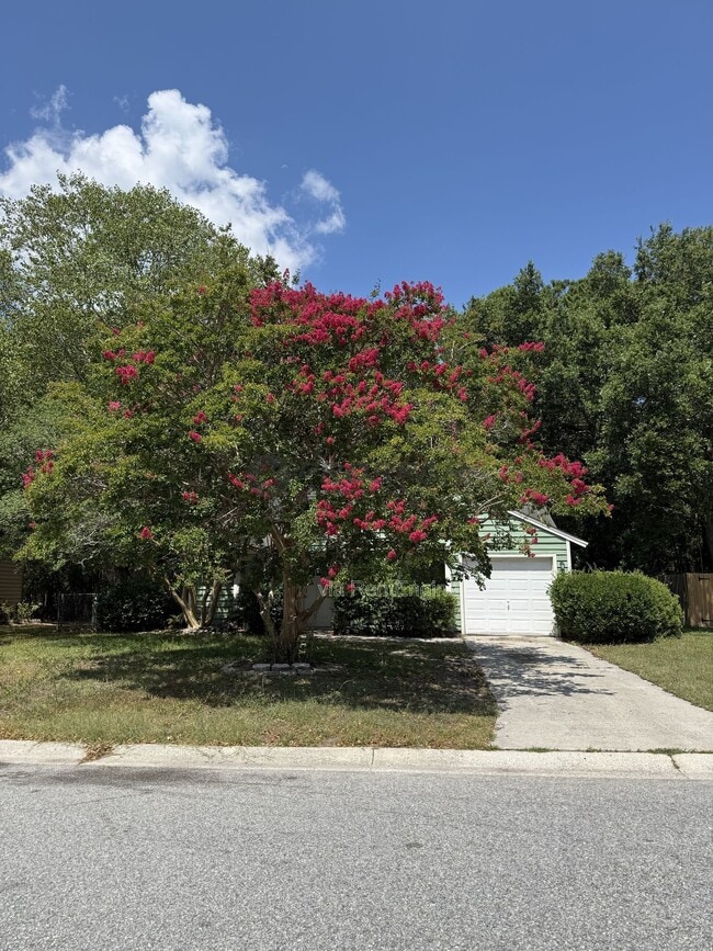 Building Photo - 1047 Oakcrest Dr